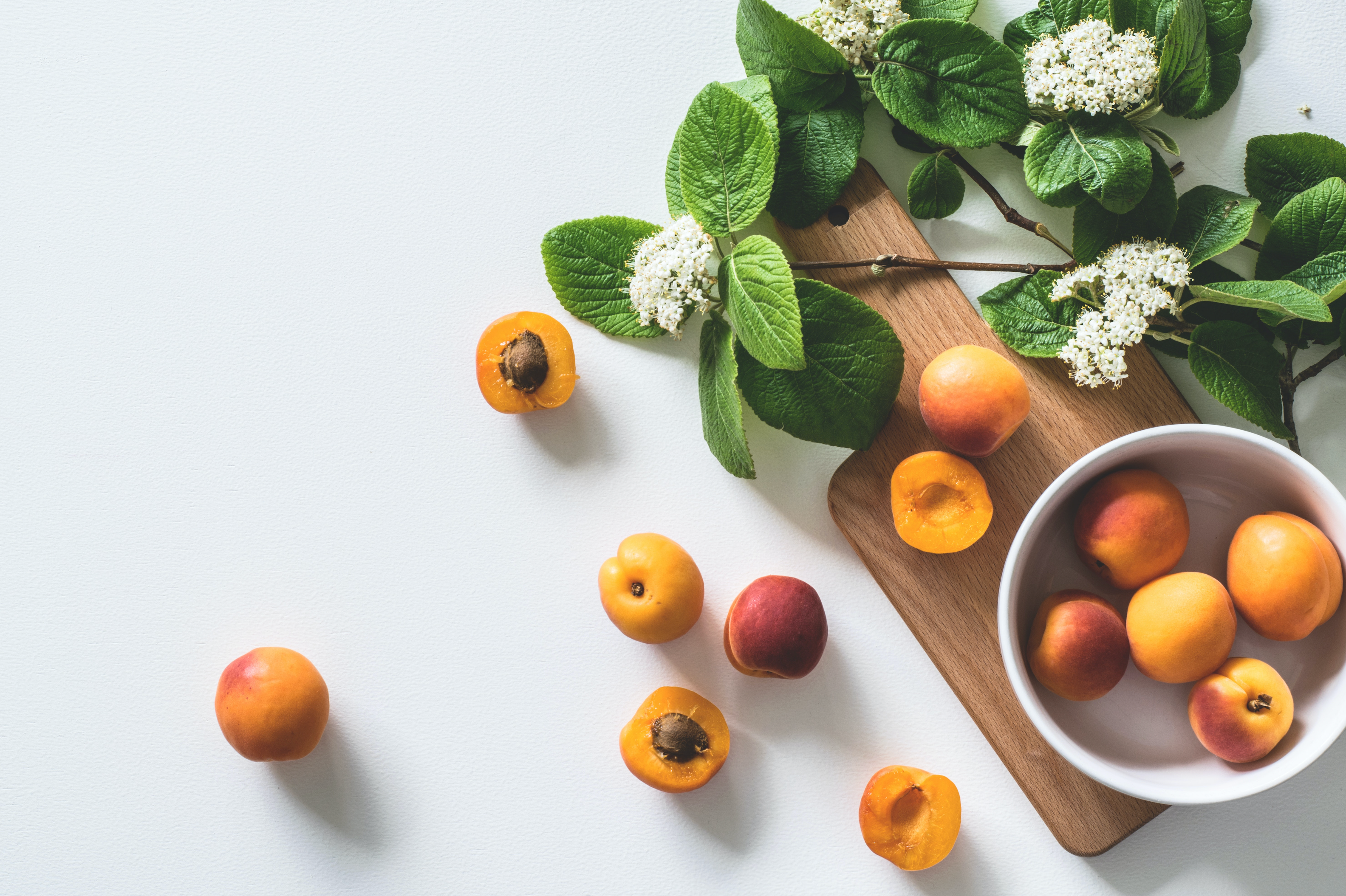 The Role of Gut Health in Heart Health