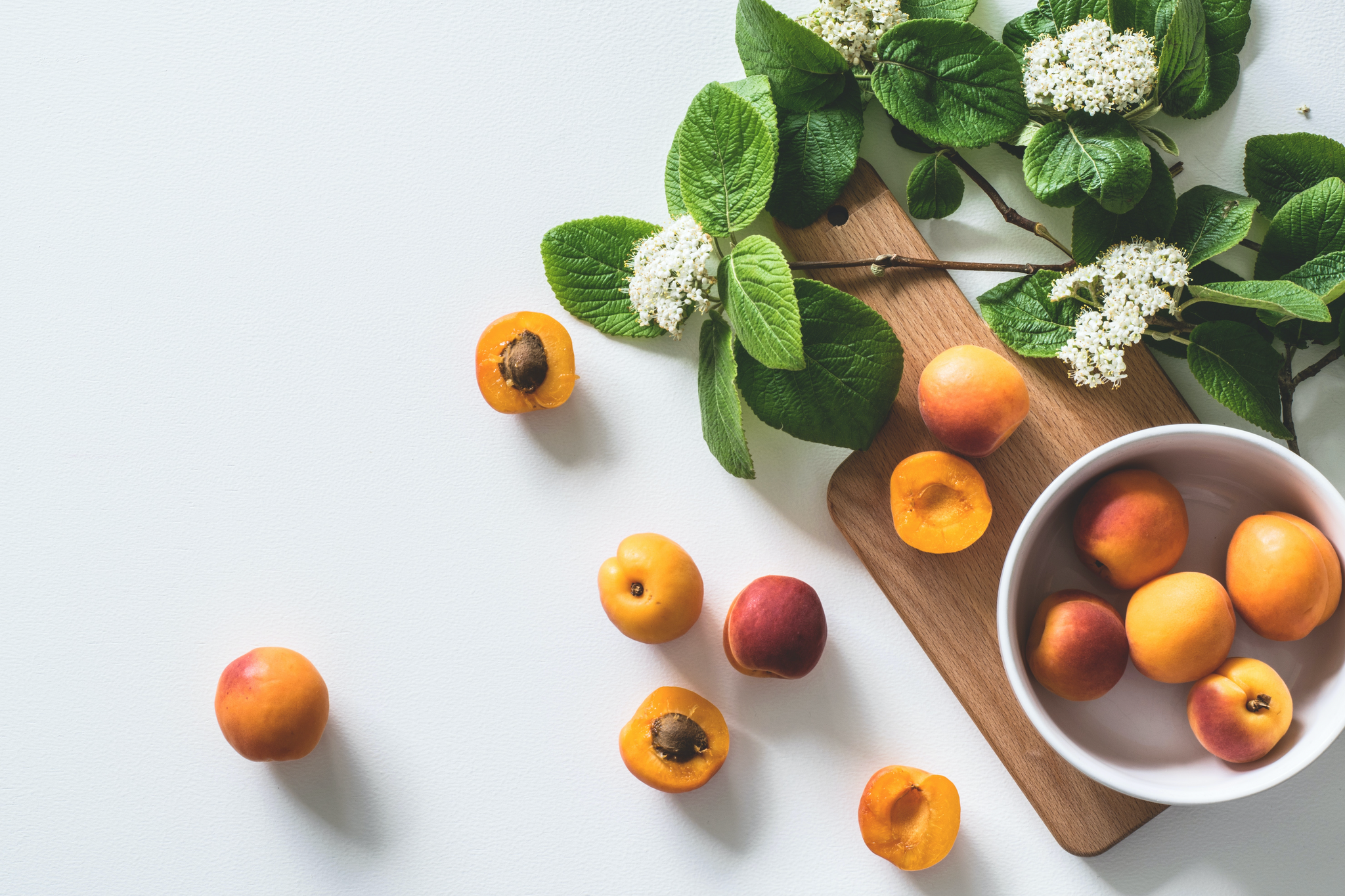 The Role of Gut Health in Heart Health