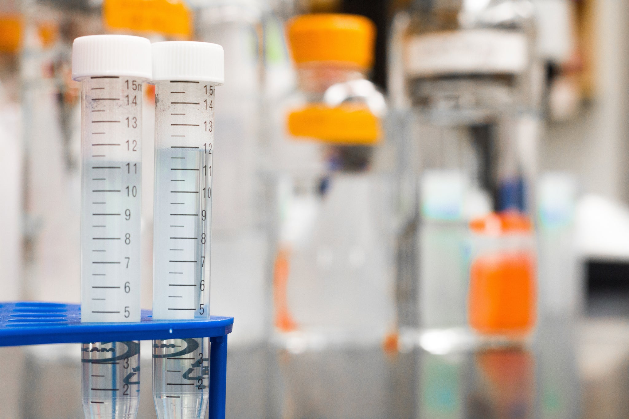 The Role of Genetics in Heart Health and The Importance of Family History