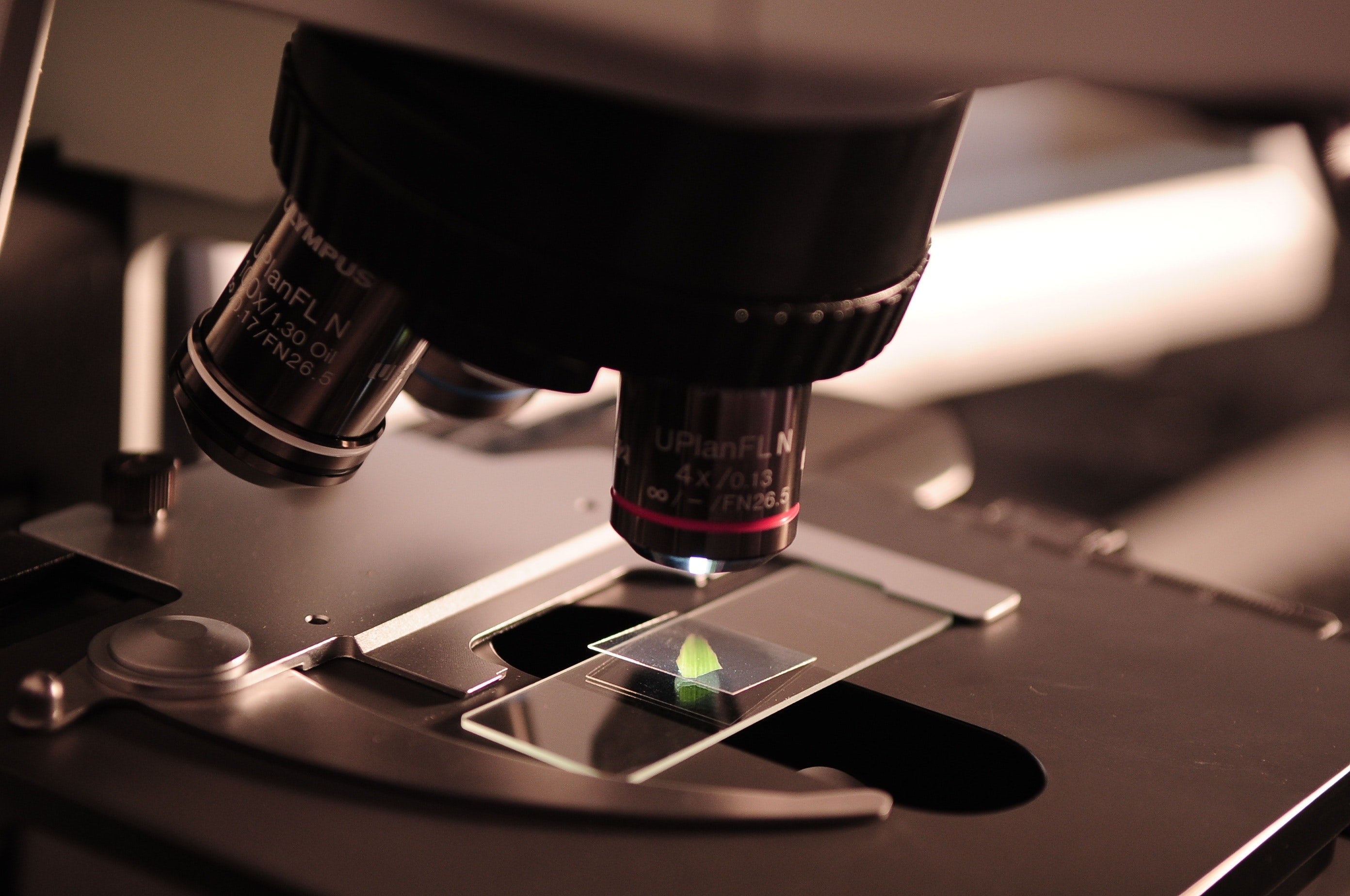 The Role of Genetics in Heart Disease and What You Can Do to Reduce Your Risk