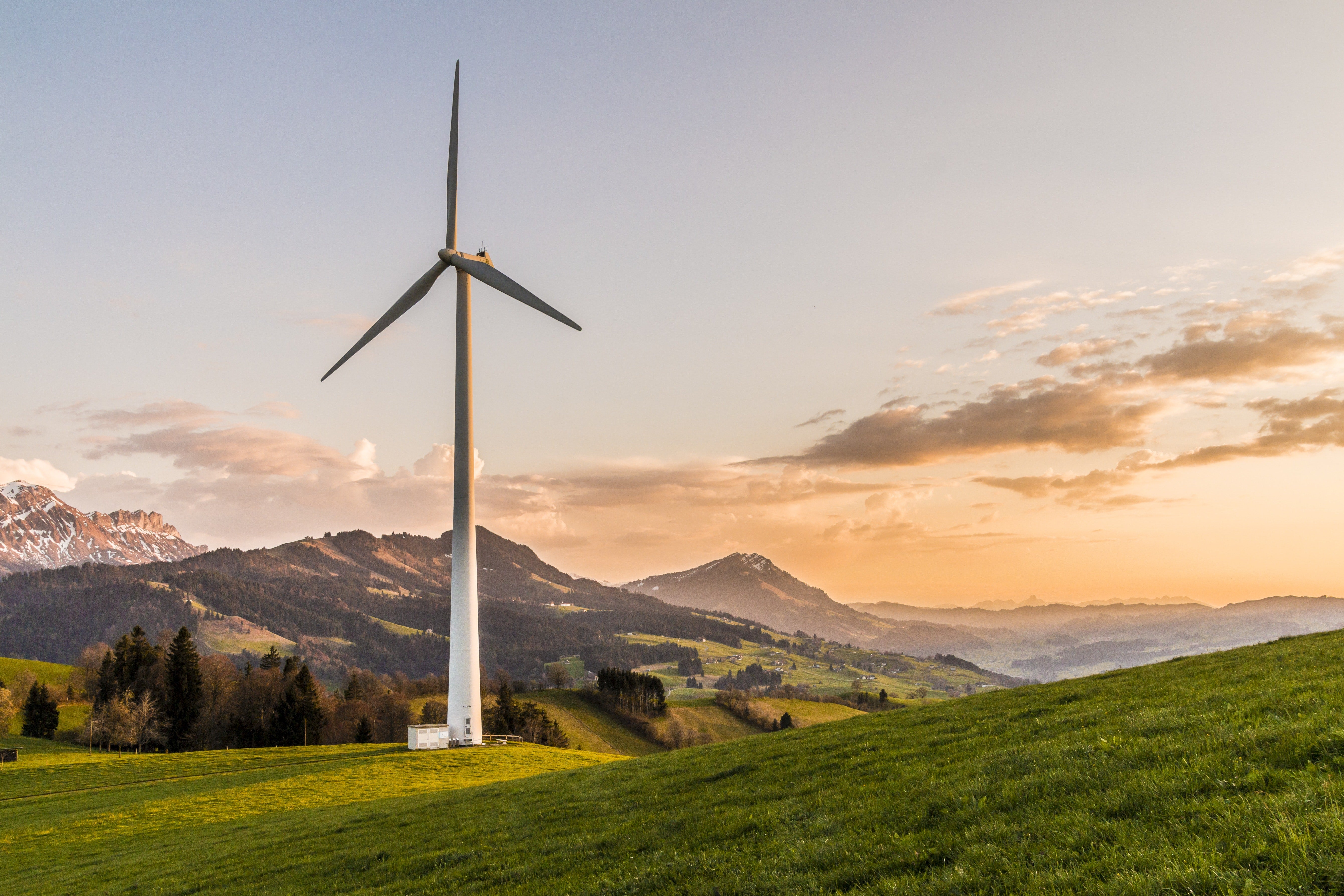The Link Between Heart Health and Environmental Factors