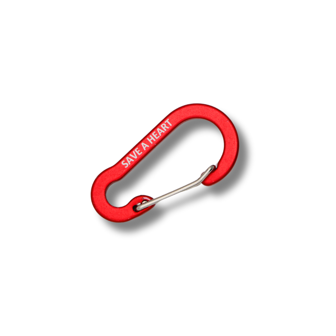 Keychain Carabiner